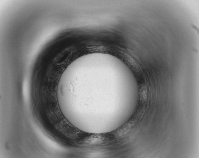 X0000095890764200801251202