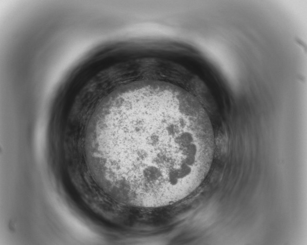 X0000095890765200801251202