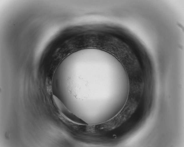 X0000095890766200801251202