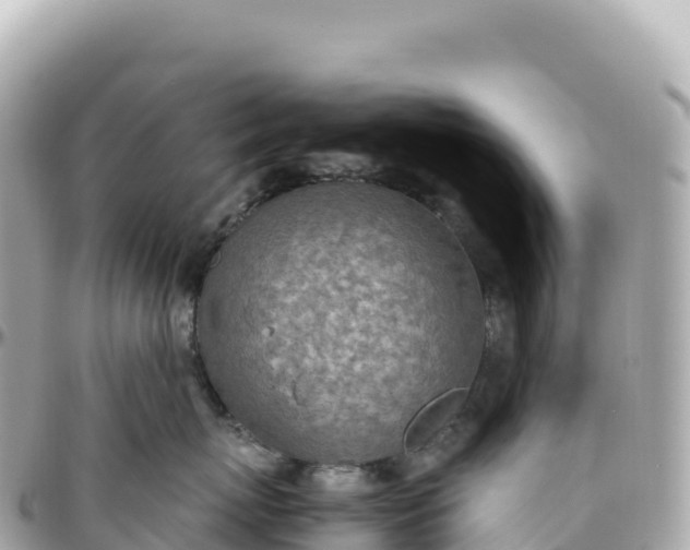 X0000095890767200801251202