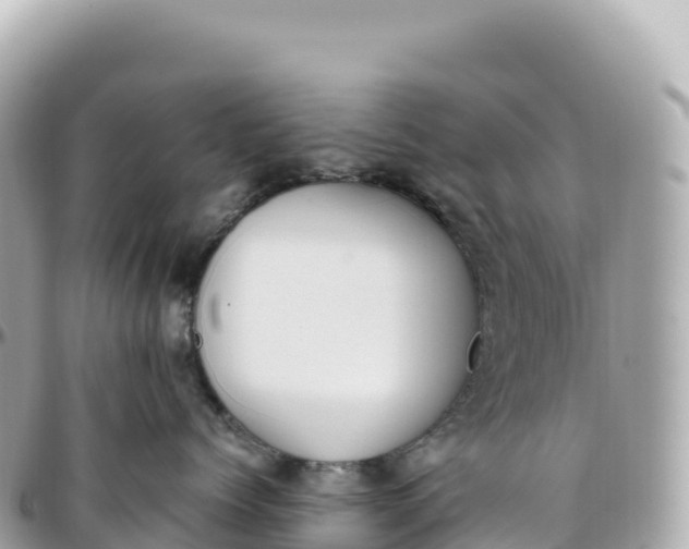 X0000095890768200801251202