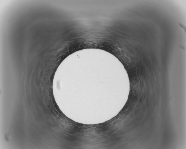 X0000095890769200801251201