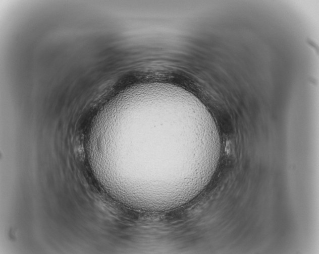 X0000095890771200801251201