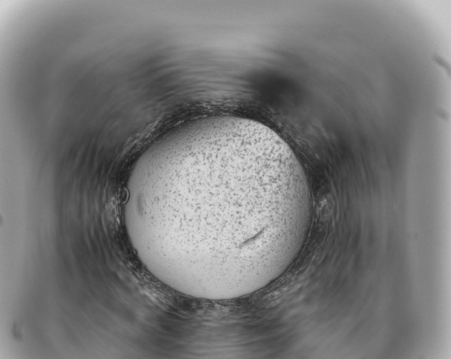 X0000095890772200801251201