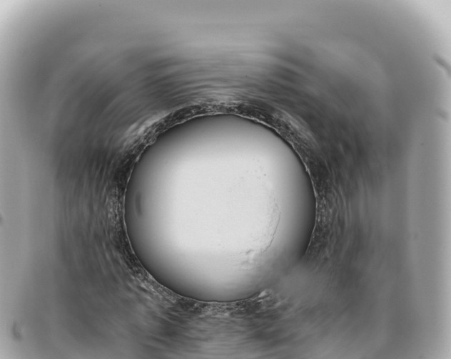 X0000095890773200801251201