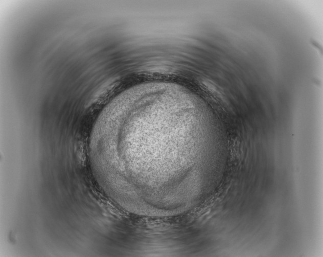 X0000095890774200801251201