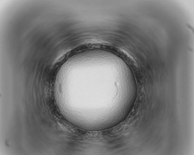 X0000095890775200801251201