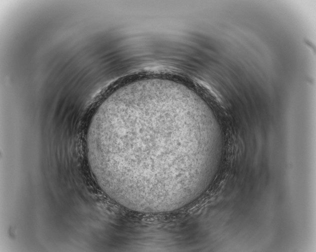 X0000095890776200801251201