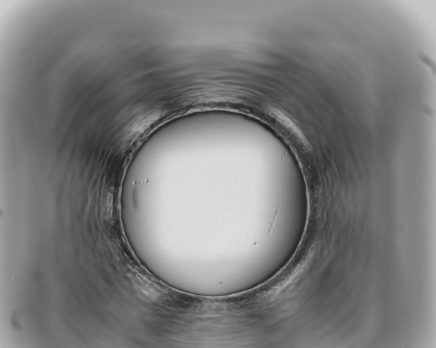 X0000095890777200801251201