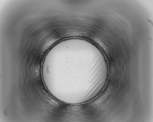 X0000095890778200801251201