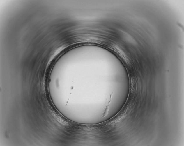 X0000095890780200801251201