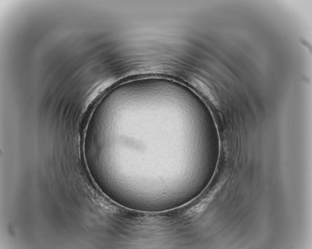 X0000095890781200801251201