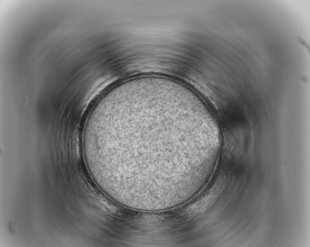 X0000095890782200801251201