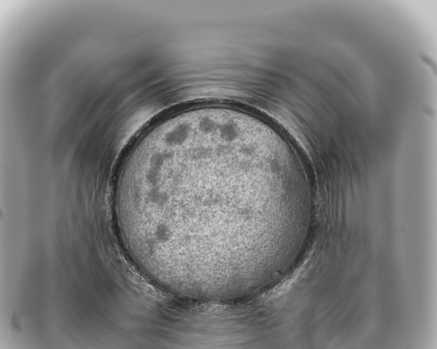 X0000095890783200801251201