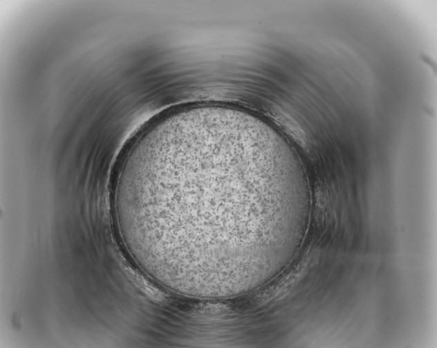 X0000095890784200801251201