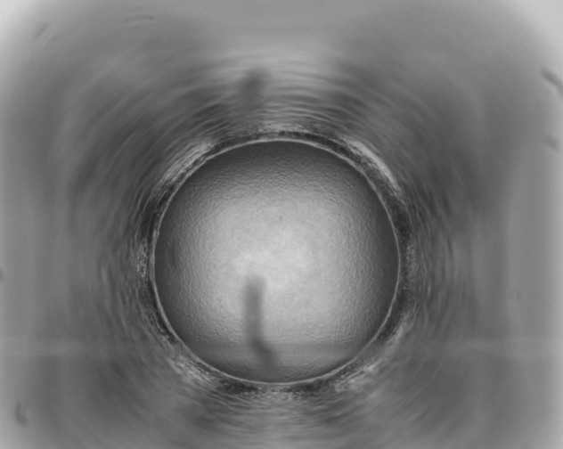 X0000095890785200801251201