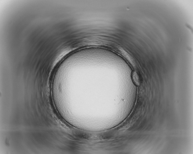 X0000095890787200801251201