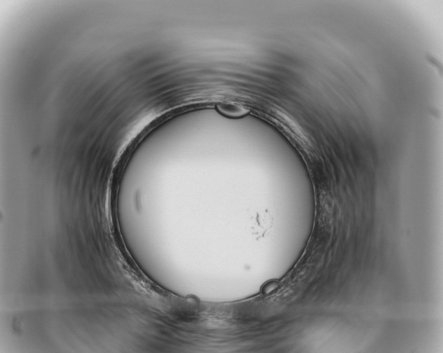 X0000095890788200801251201