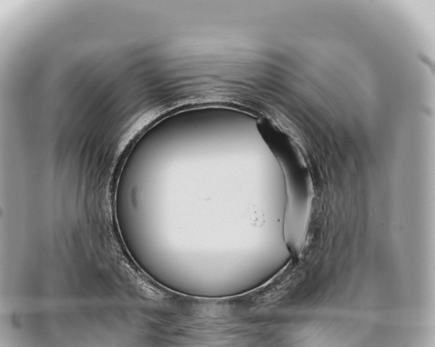 X0000095890789200801251201