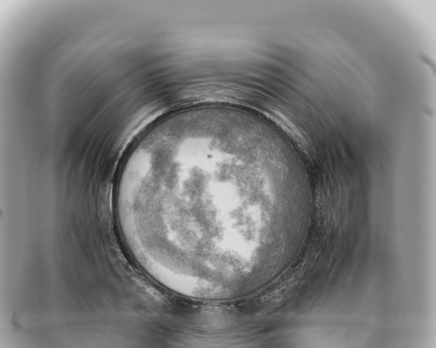 X0000095890790200801251201