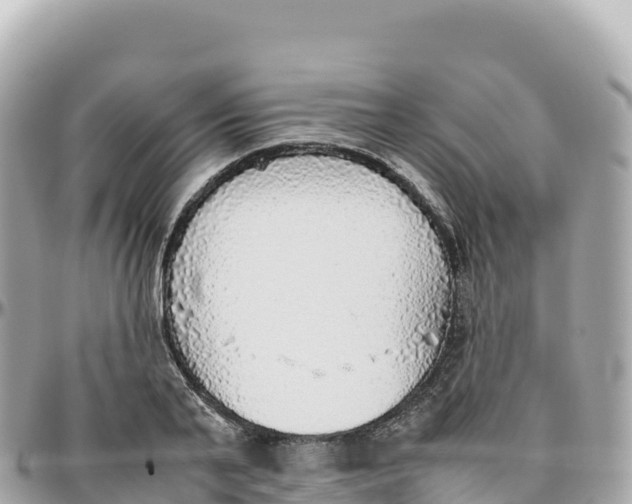 X0000095890791200801251201