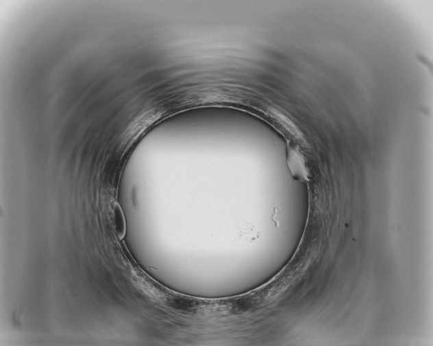 X0000095890793200801251201