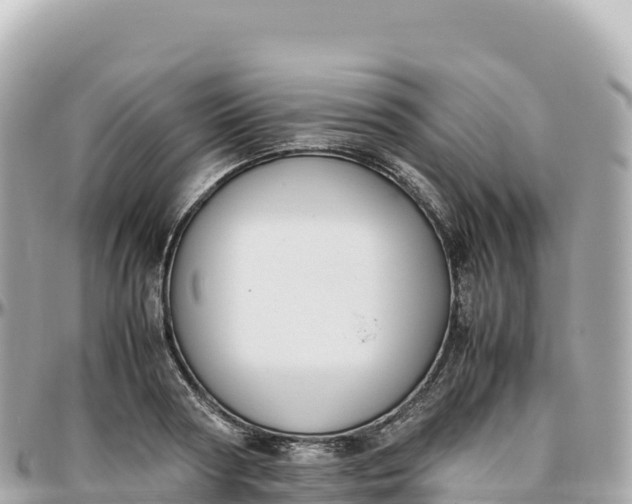 X0000095890794200801251201