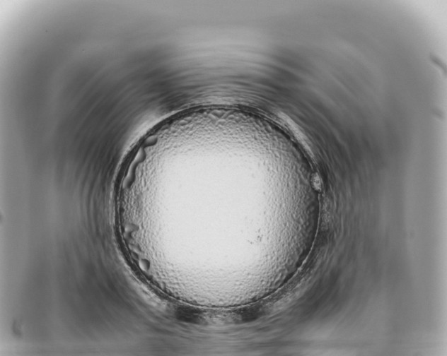 X0000095890795200801251201