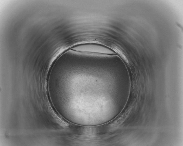 X0000095890797200801251201