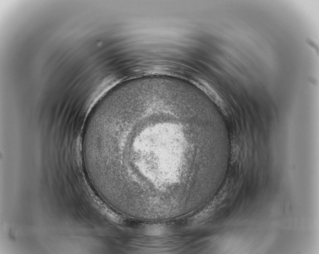 X0000095890798200801251201