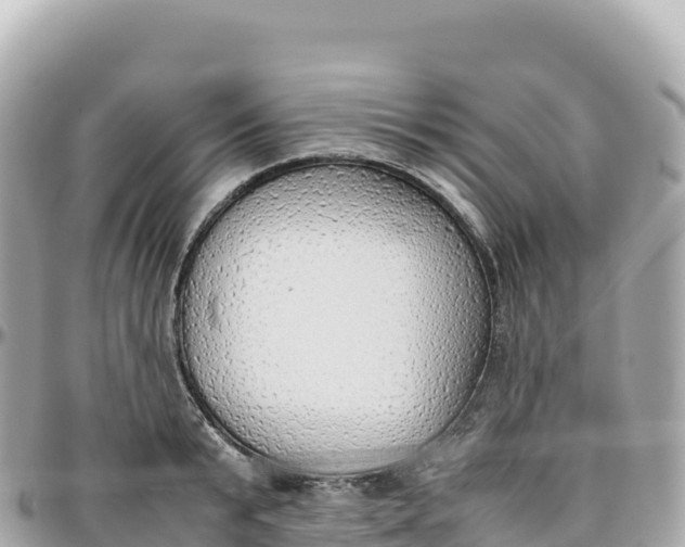 X0000095890799200801251201