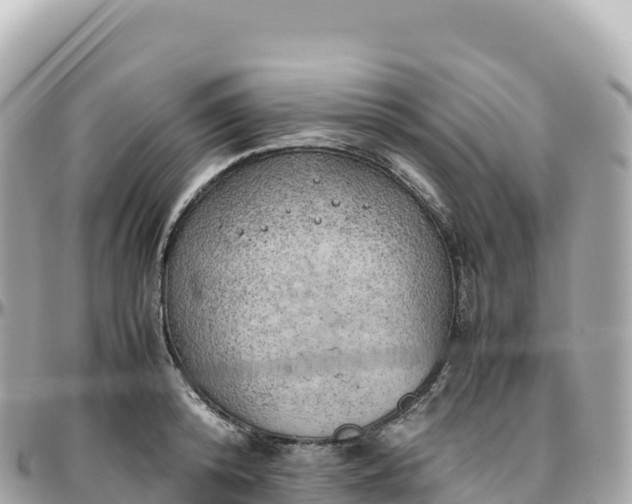 X0000095890800200801251201