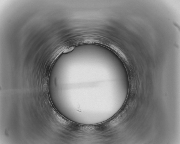 X0000095890801200801251201