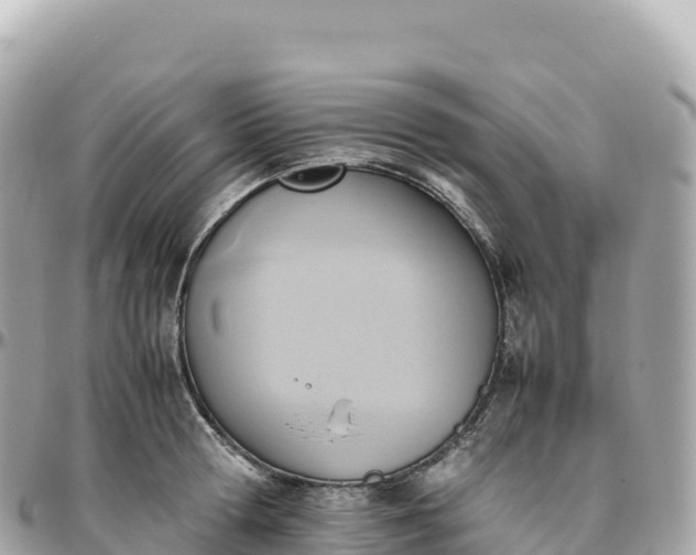 X0000095890802200801251201