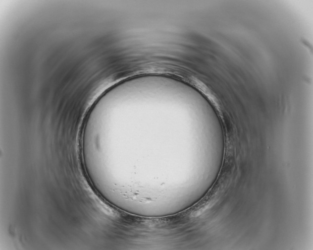 X0000095890803200801251201