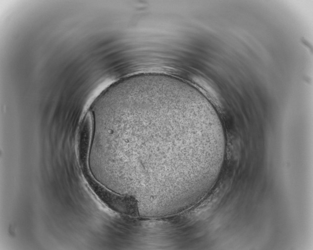 X0000095890804200801251201