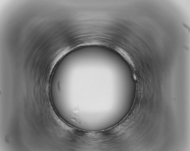 X0000095890805200801251201