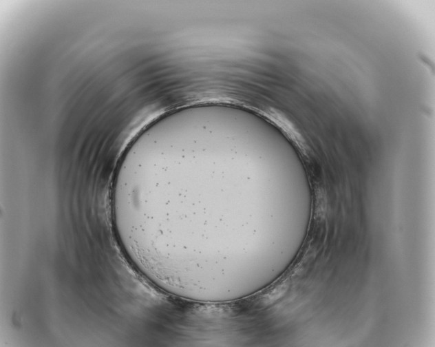 X0000095890806200801251201