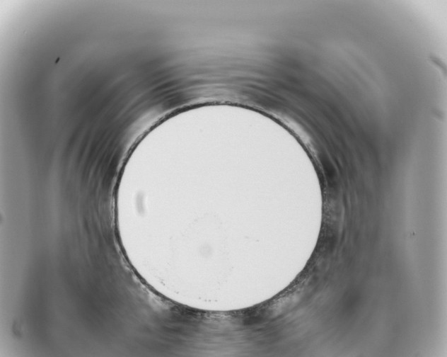 X0000095890807200801251201