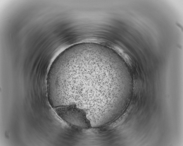 X0000095890808200801251201