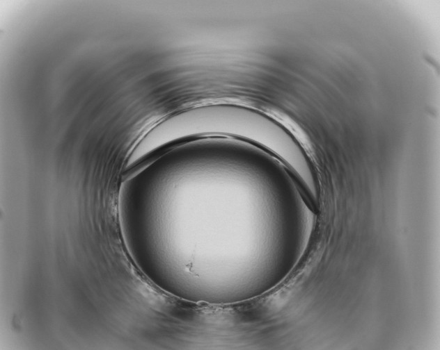 X0000095890809200801251201