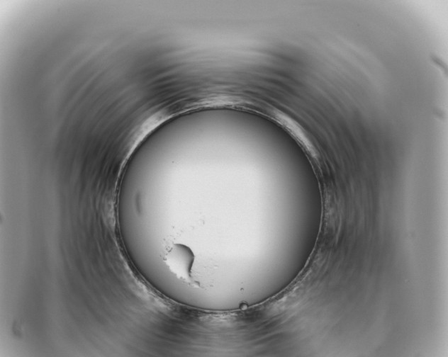 X0000095890810200801251201