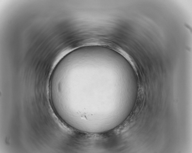 X0000095890811200801251201