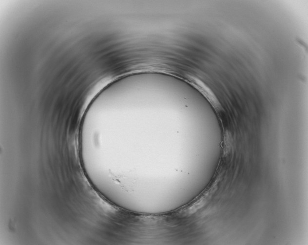 X0000095890812200801251201