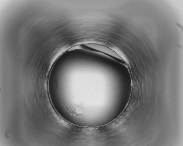 X0000095890813200801251201