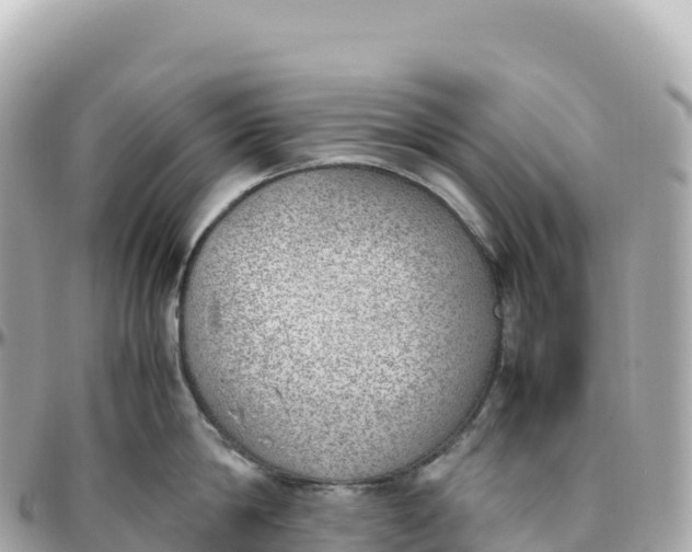 X0000095890814200801251201