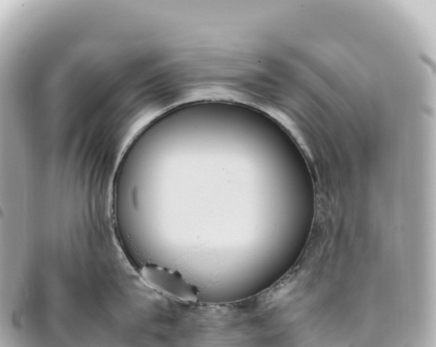 X0000095890815200801251201