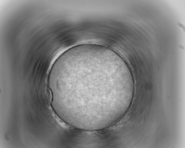 X0000095890816200801251201