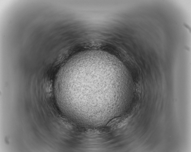 X0000095890818200801251200