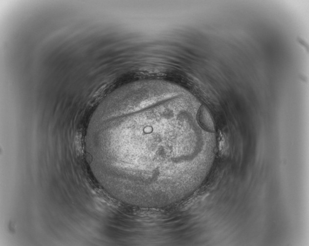 X0000095890819200801251200